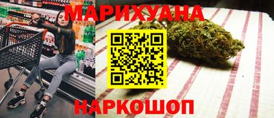 сатива Моздок