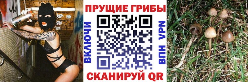 Псилоцибиновые грибы MAGIC MUSHROOMS  Домодедово 