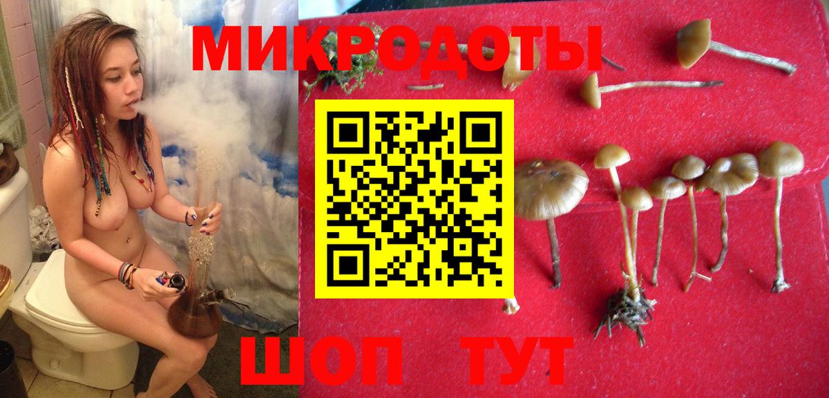 Галлюциногенные грибы GOLDEN TEACHER Домодедово